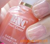 BNCָͳ