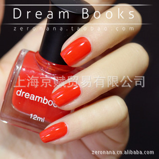 DreamBooksԻָʥϵƤС