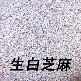 ֥鳧ֱӭѡ