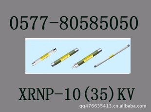XRNP-10[12]KVѹ۶