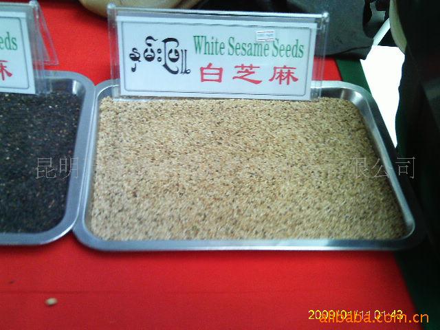 ֥顣֥