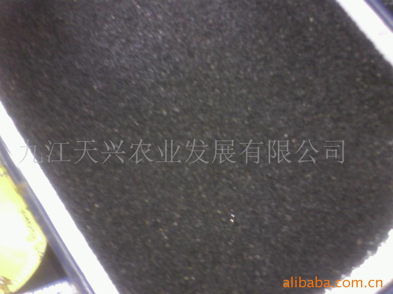 //ե֥