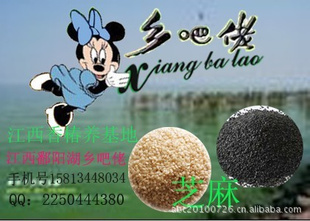 ʳƷлʳƷ֥