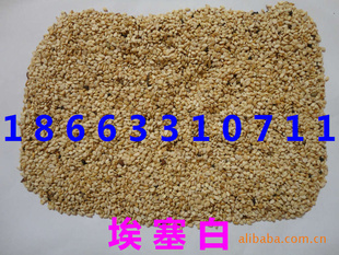 ֥飬huangףե֥.֥