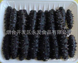 拉缸沿海参|拉缸盐海参|*台永发食品