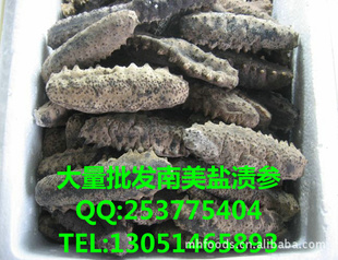 大量批发南美盐渍海参,墨西哥足参,大火候盐渍南美海参,涨发高
