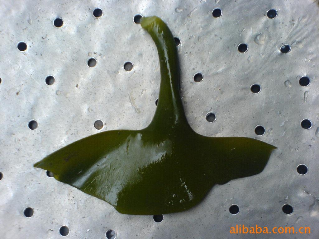 ˮƷϼպͷA