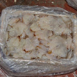 ƷҴͷˬںͷH-03