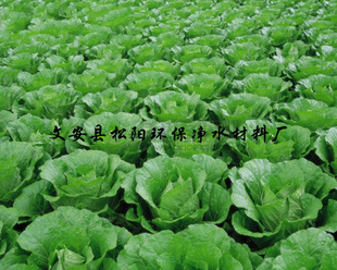 ֲʪ