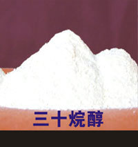 ߺ98%ʮ鴼Triacontanol
