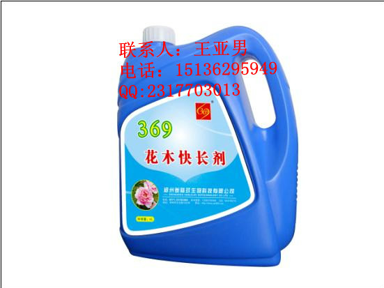 ľ쳤ľ쳤369