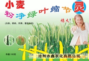 С۾ҶҶ滯ũʾڼ