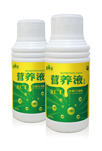 ʢֱRCTӪҺ