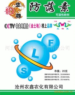 Ҷ滯ũʾڼ