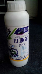 ޻ڼ-޻֦