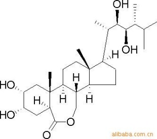 24-epibrassinolideͲ
