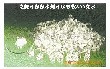 Իݱˮ