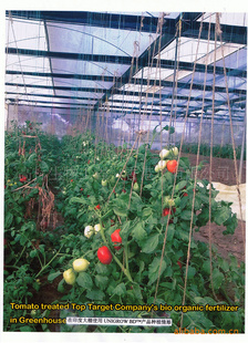 PlantGrowthpromoterwithmoretomatoָ෬øϵٳ