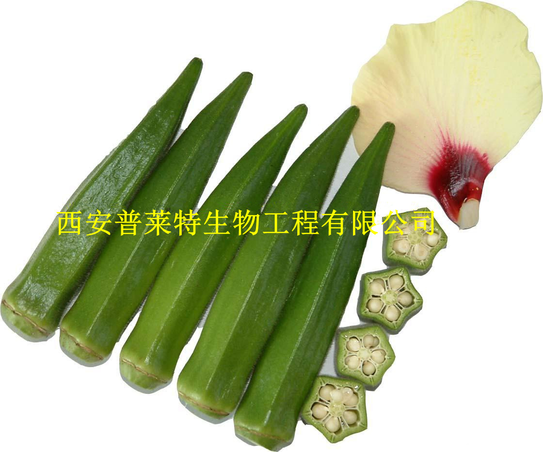Ӧȡ10:1,20:1,50:1