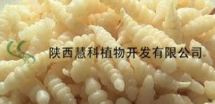 ˮ