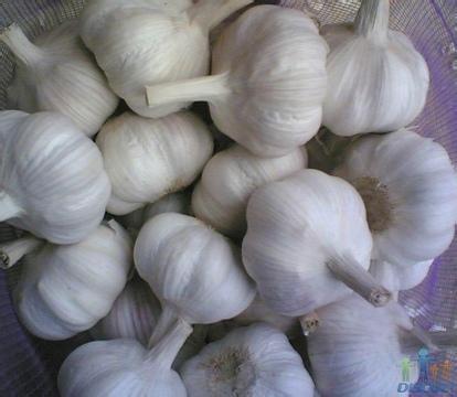 ֱȡ