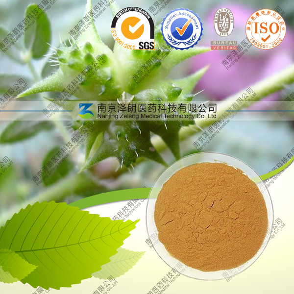 ޼ȡ90%ֻӦ