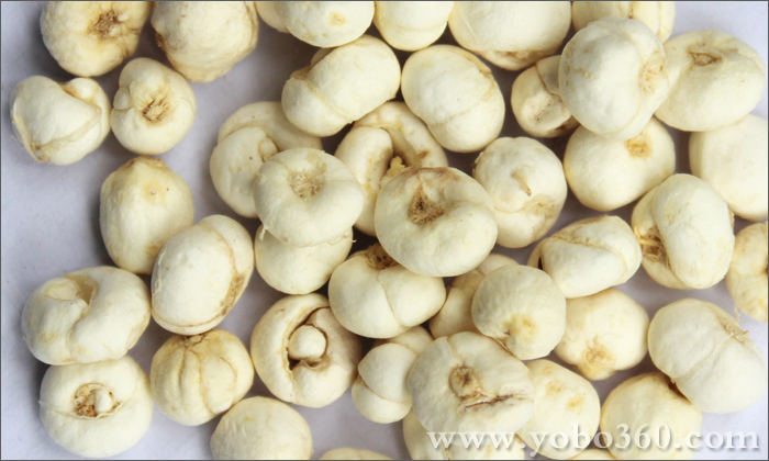 贝母辛价格优惠