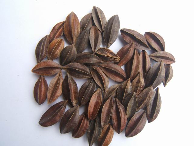 ʹȡ