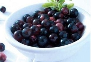 ֻݮȡ/ݮ/Euterpeoleracea