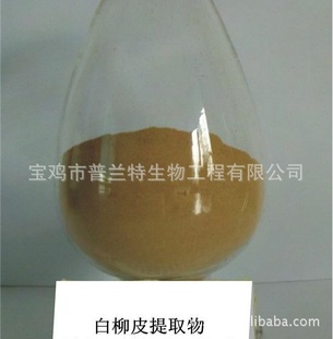 Ұˮ߰Salicin15%-50%ӭ