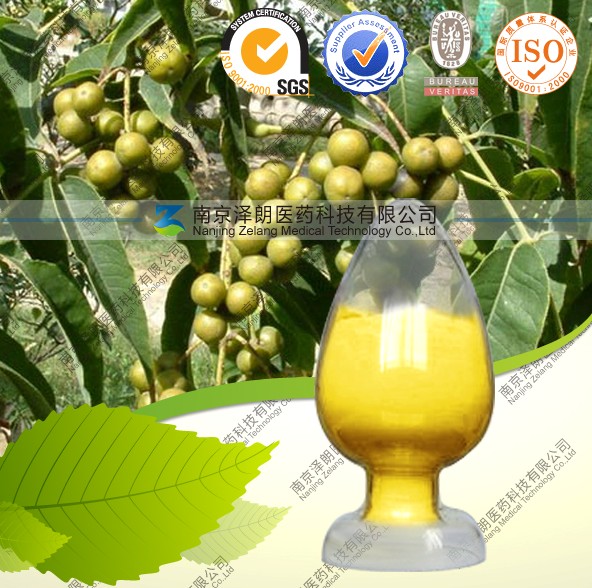 С޼98%۸Ż