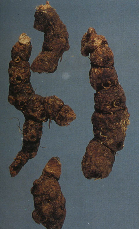 ȡ