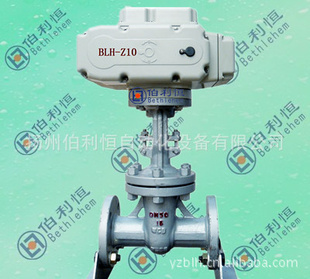 BLH-Z05;СͶת綯ִתʽС͵綯ͷ