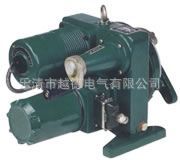 DFDϵе綯ִDFD-09DFD-1000