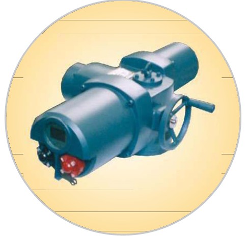 SND-Q150-1S施耐德智能型执行器类型:智能开关型