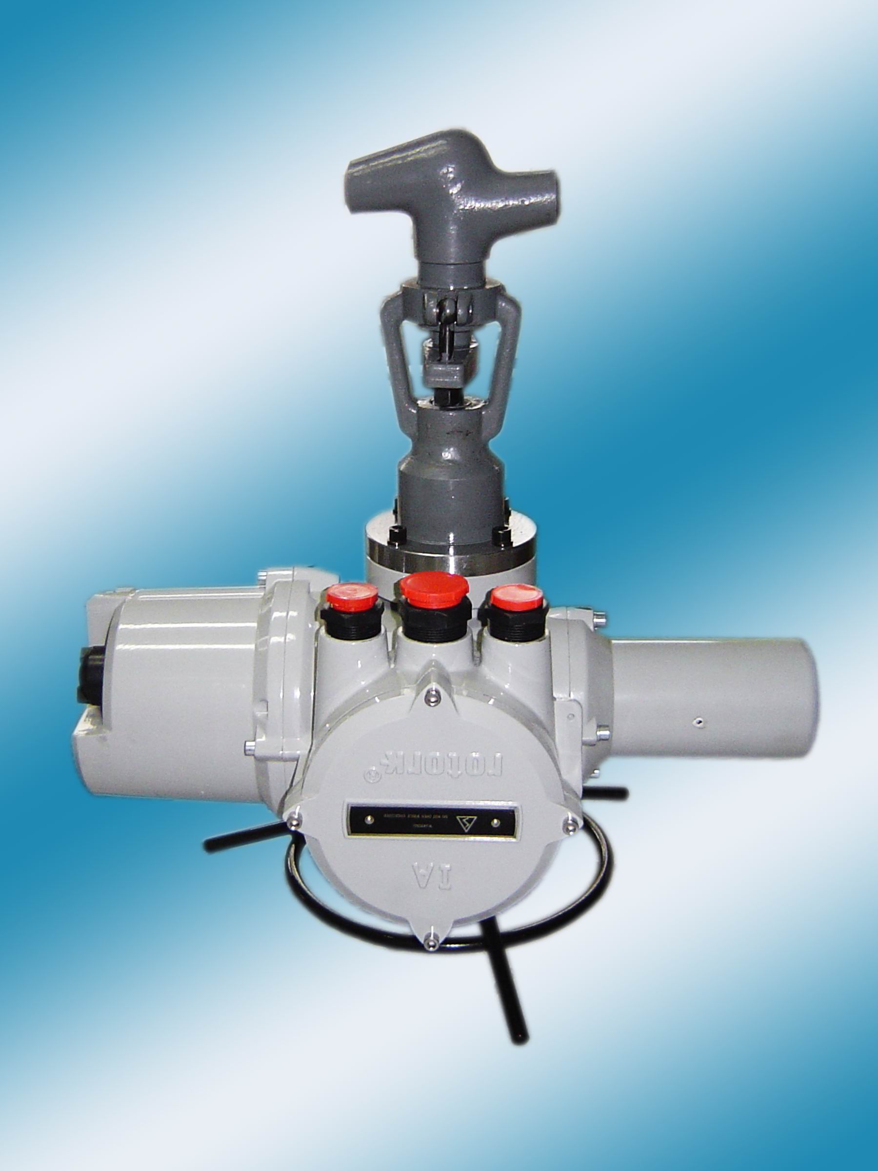 K-TORKִK-TORK