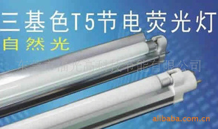 T5ڵӫ