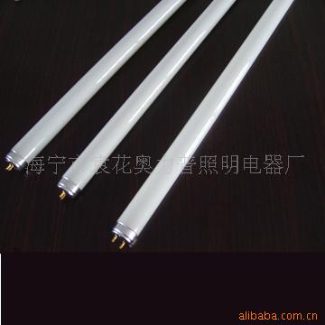 t5ϵֱӫƹ