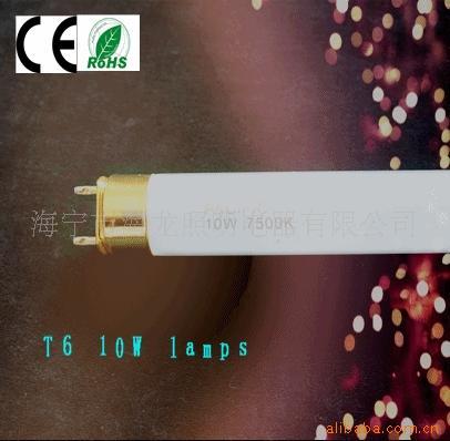 T6ӫ,ܵ,Ledƹ10W