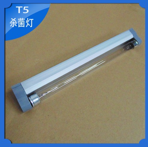 T56Wƣ׼߾ƹ
