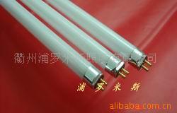 T528Wƹ