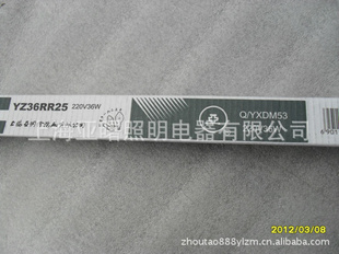 ӫչT81923ƹ36W