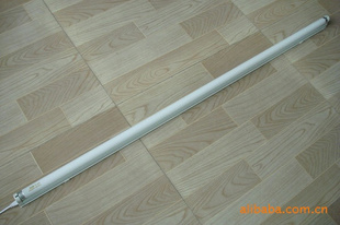 峤T5ӫT8ӫ