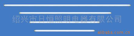 T8-T12ֱӫ(ͼ)