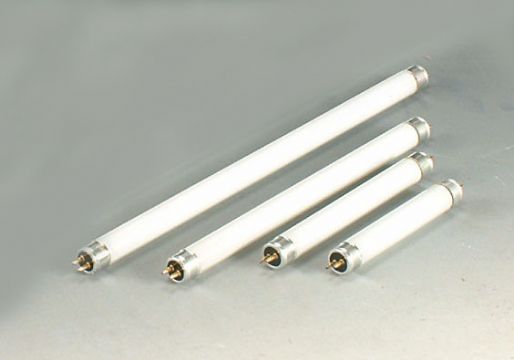 T6ƹ
