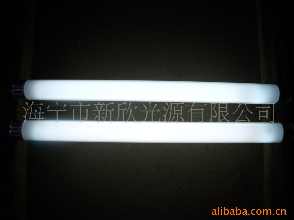 T528Wƹ(ͼ)