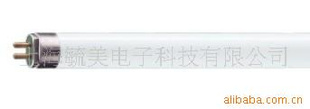 T5ӫƹTL5HO80W/830