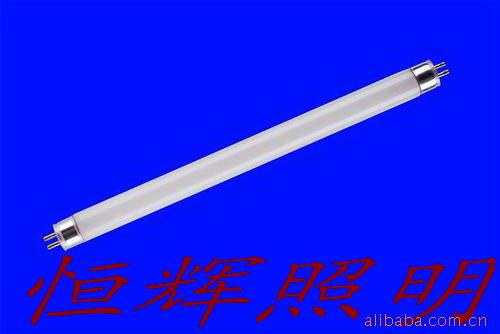 T56Wƹ