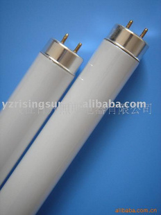 大量高品T12粗管/T8/T9/T10荧光灯