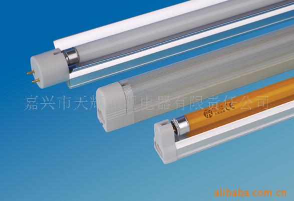 T5ϵ